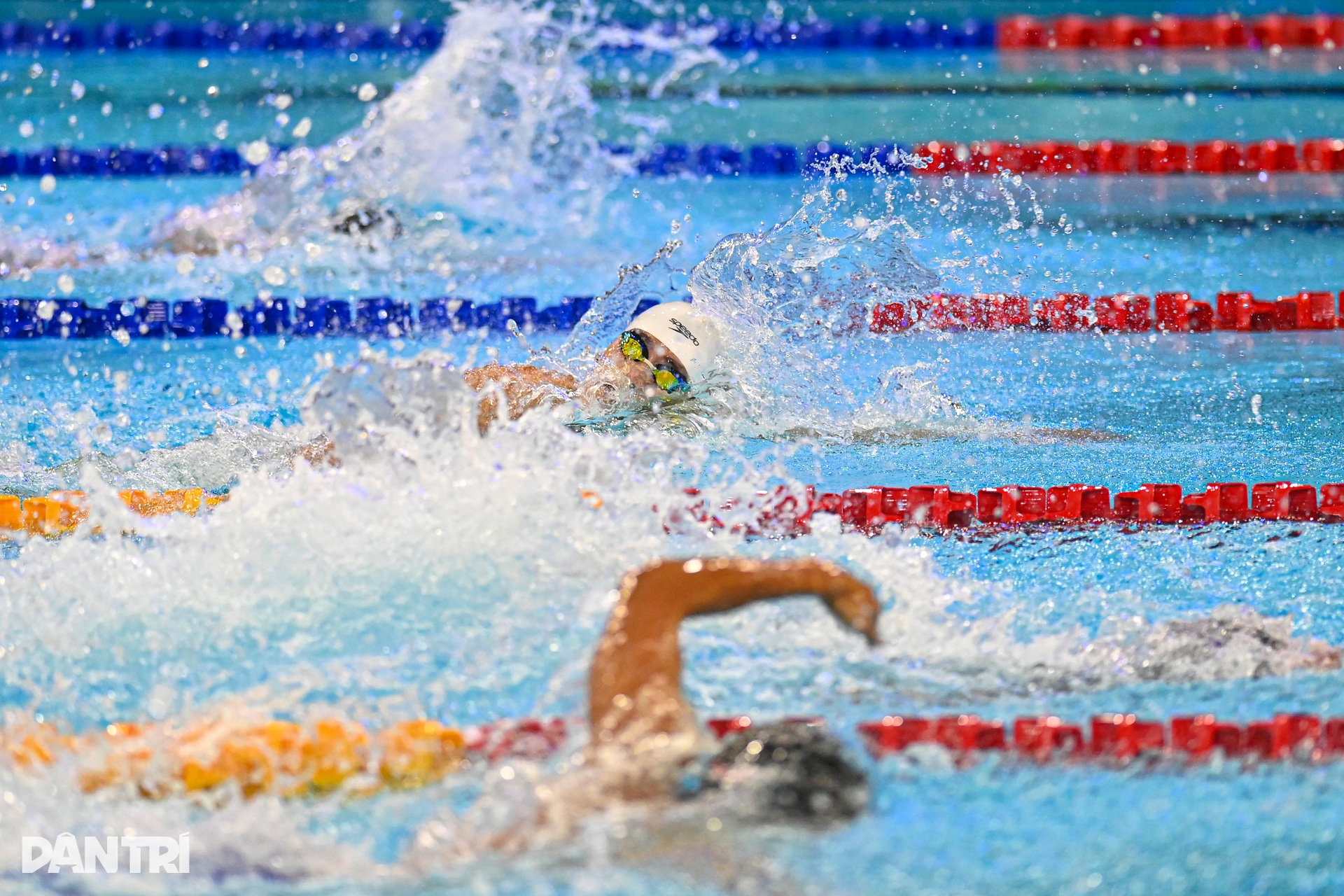 Ngày thi đấu đầy cảm xúc của bơi lội Việt Nam tại SEA Games 33 - 11