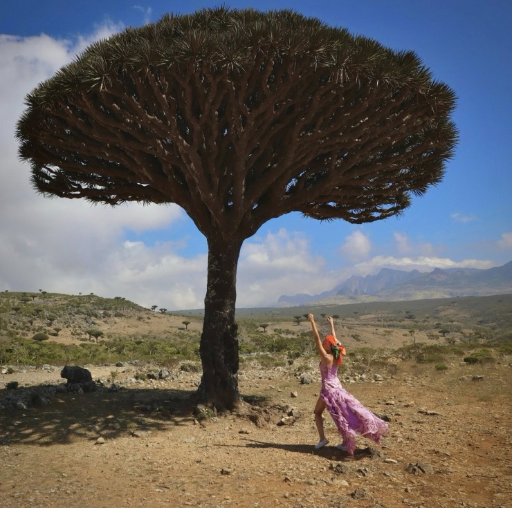 Khách Việt đi 140 quốc gia, chi hơn 100 triệu tới đảo kỳ lạ nhất thế giới 2 Chị Thúy Anh trước cây huyết rồng cao tới 12m, được xem là cao nhất đảo Socotra