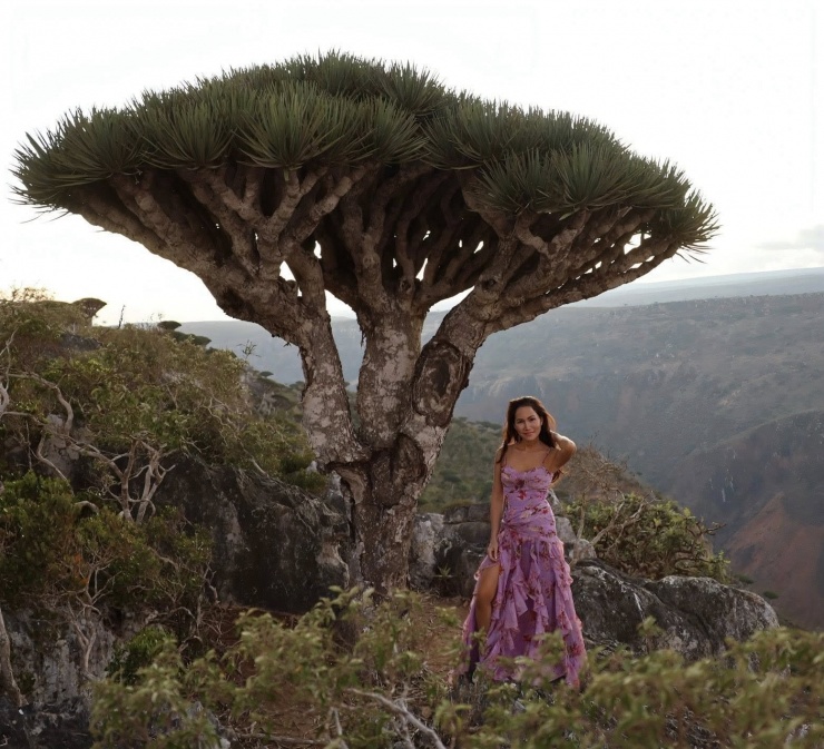 Khách Việt đi 140 quốc gia, chi hơn 100 triệu tới đảo kỳ lạ nhất thế giới 10 Những rừng cây huyết rồng là bối cảnh chụp ảnh ấn tượng