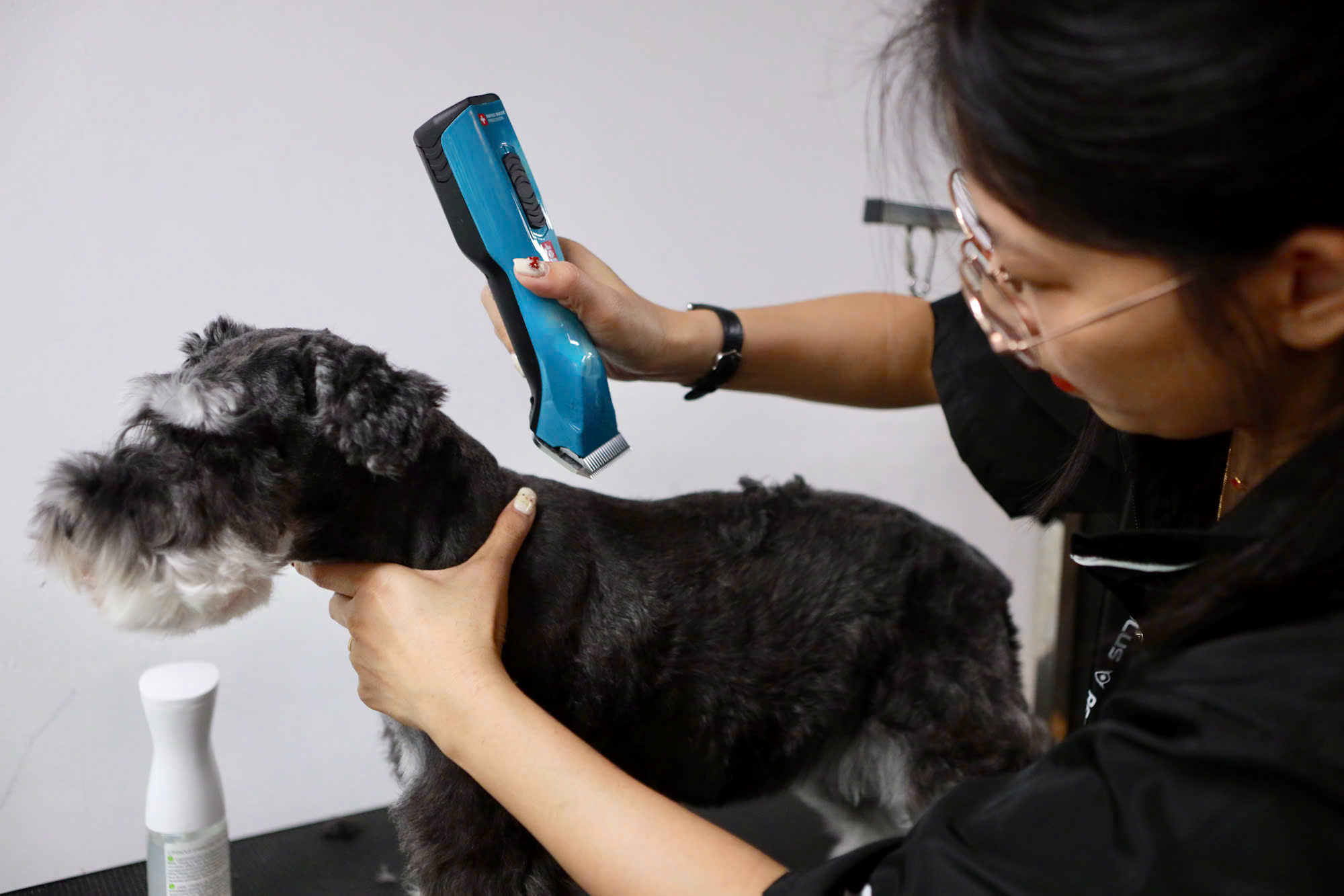 Làm đẹp thú cưng ở TP.HCM: Kiên nhẫn và cả trắc ẩn với khách hàng 4 chân- Ảnh 3. Làm đẹp thú cưng ở TP.HCM: Kiên nhẫn và cả trắc ẩn với khách hàng 4 chân- Ảnh 3.