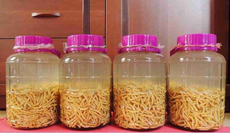 Sâu chít thường được ngâm rượu để bảo quản lâu và dùng làm rượu thuốc. Người dân tin rằng rượu sâu chít giúp bồi bổ cơ thể, tăng cường sinh lực, nhưng việc sử dụng cần điều độ để tránh phản ứng không mong muốn.