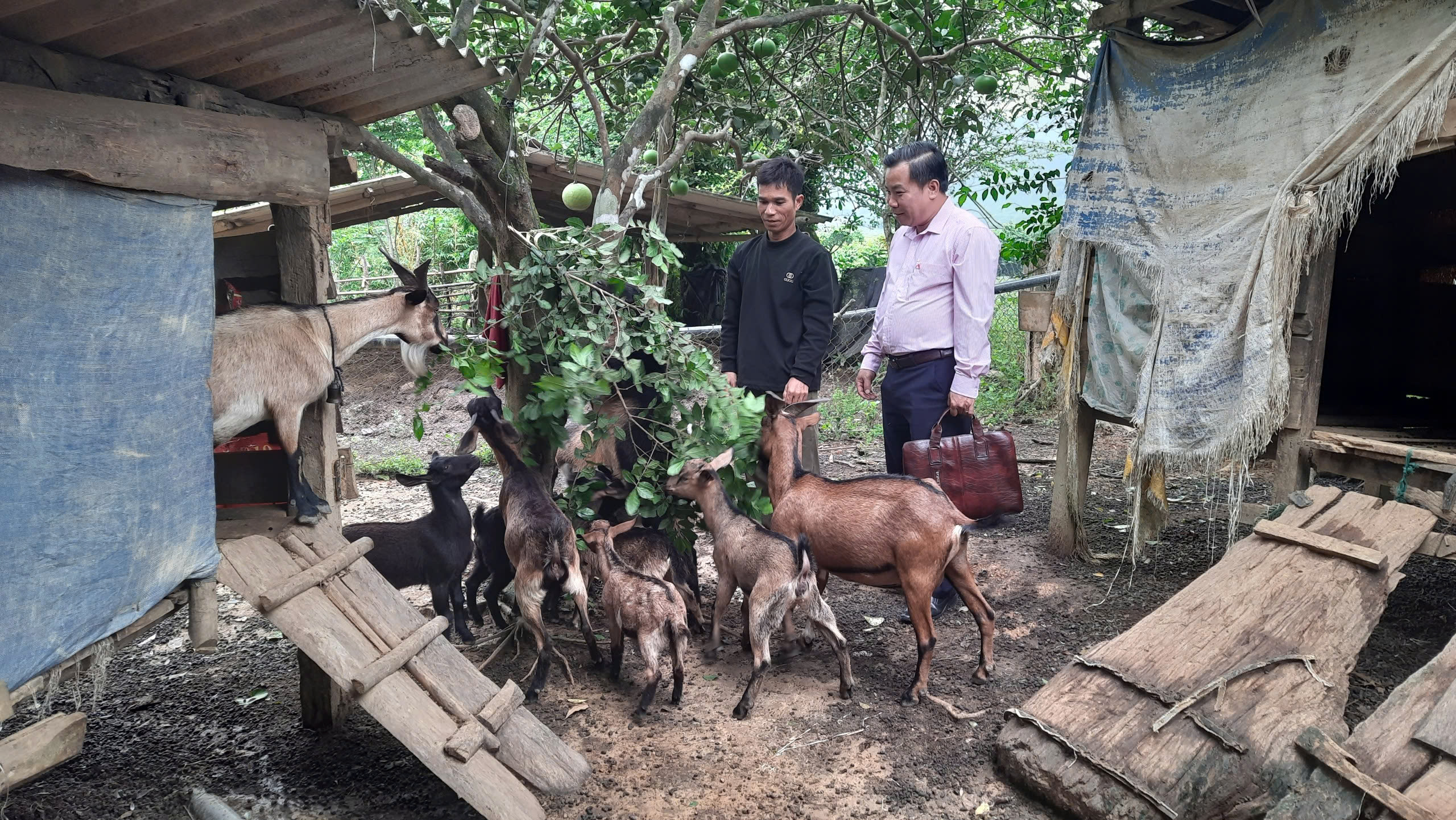 Chuyển từ "trông chờ hỗ trợ" sang tự lực vươn lên 2 Chuyển từ