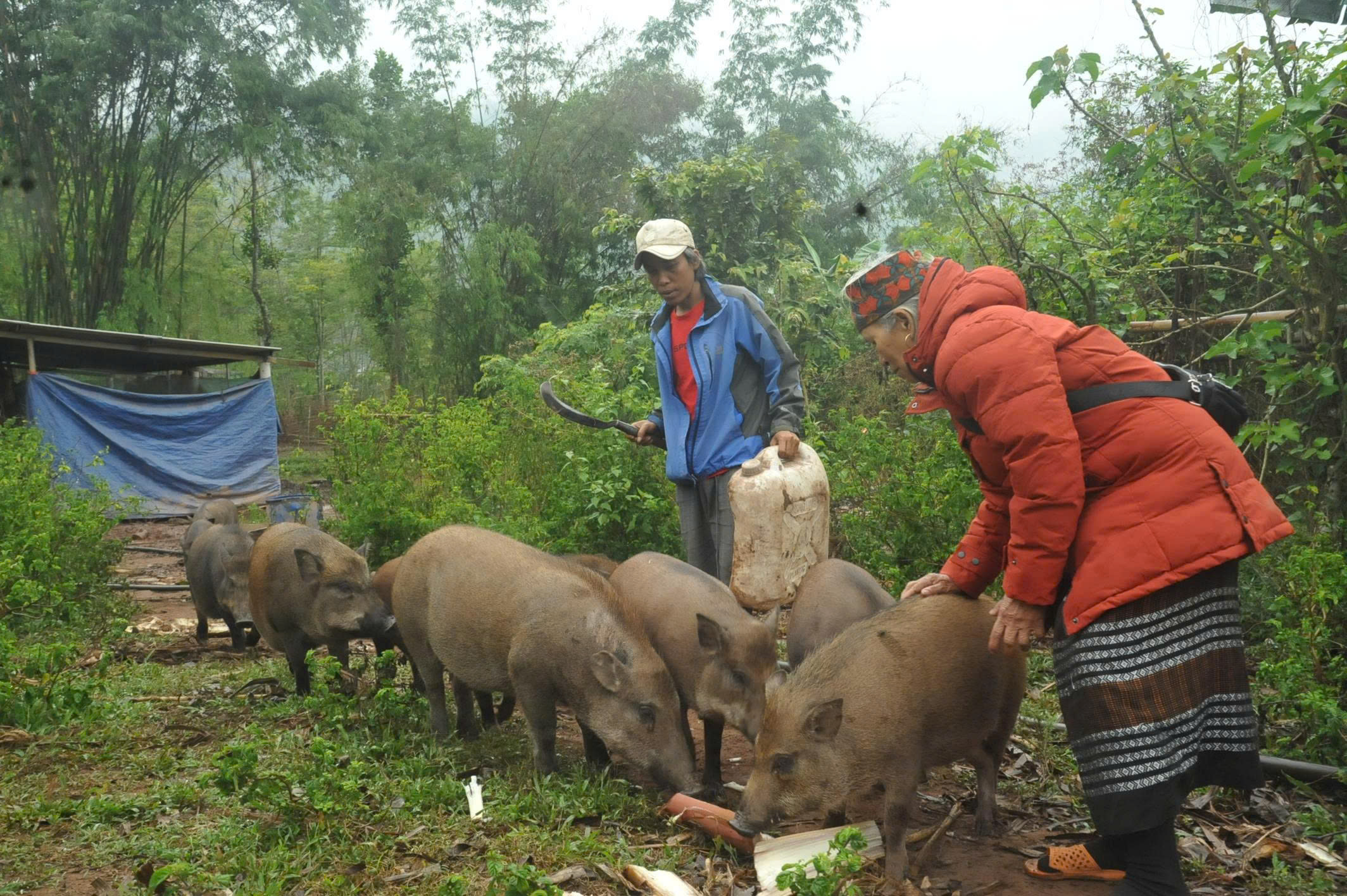 Chuyển từ "trông chờ hỗ trợ" sang tự lực vươn lên 3 Chuyển từ