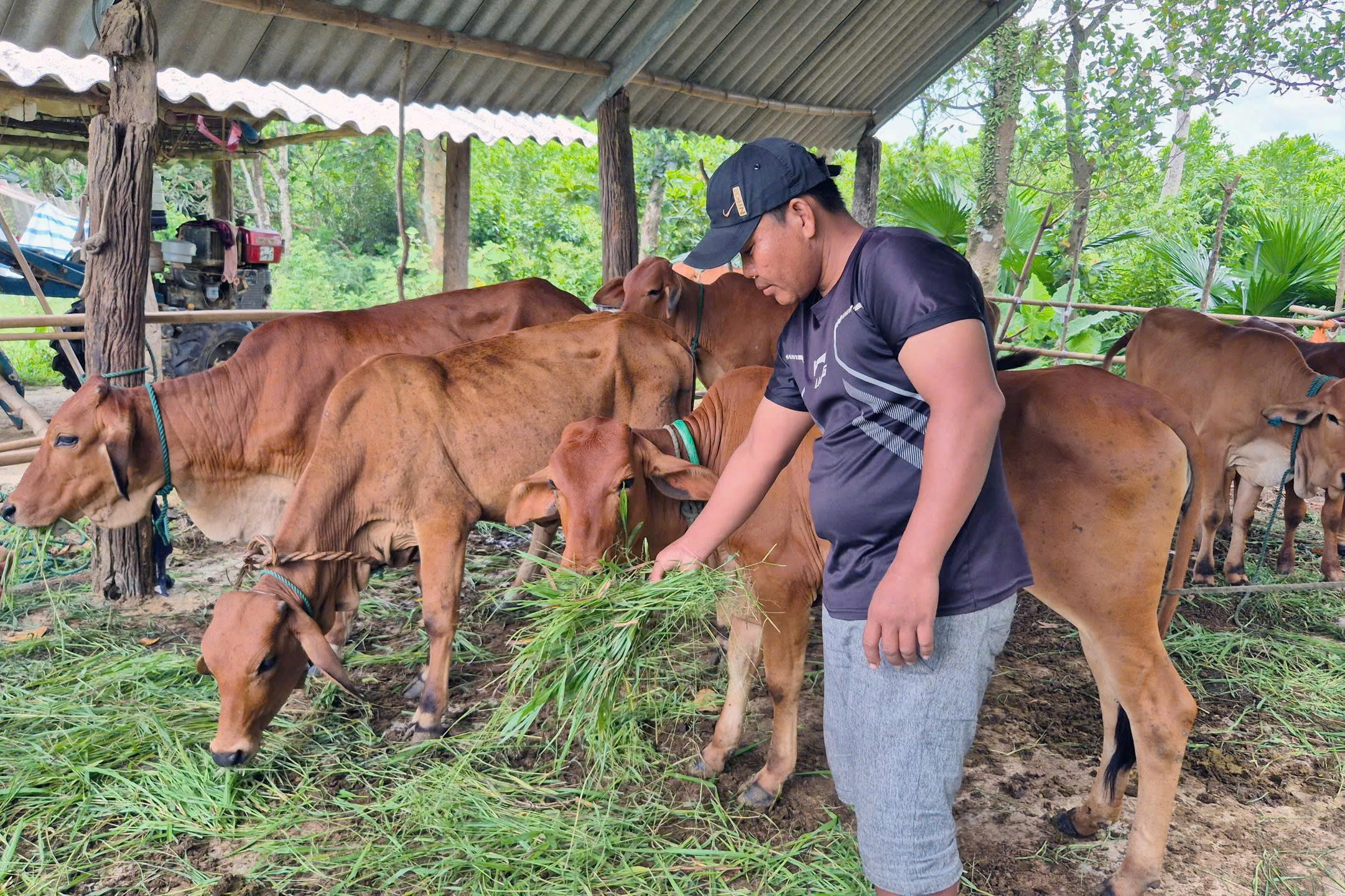 Chuyển từ "trông chờ hỗ trợ" sang tự lực vươn lên 5 Chuyển từ