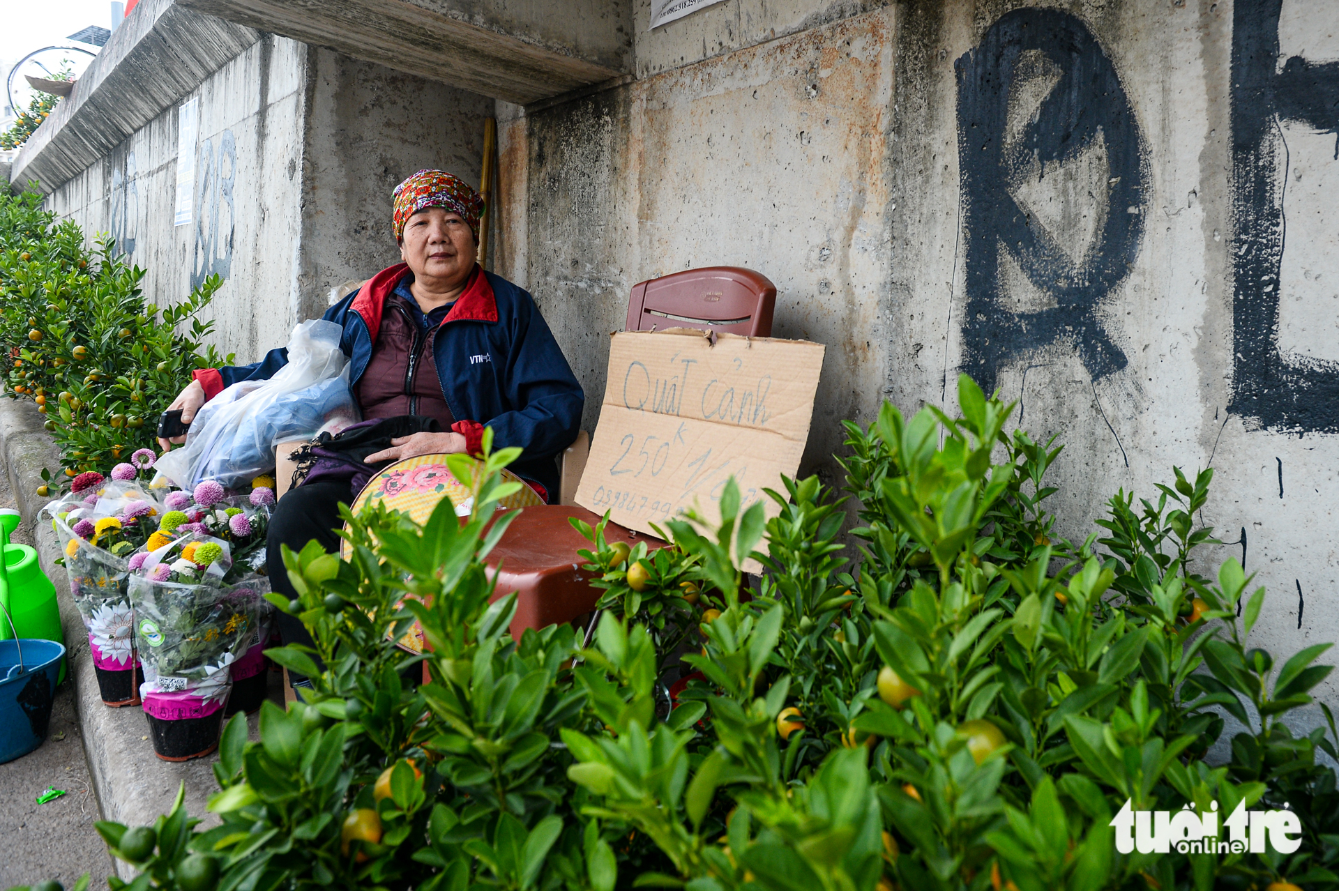 Chơi hoa sớm đón Tết, mộc lan được săn tìm tại Hà Nội - Ảnh 9. mộc lan - Ảnh 8.