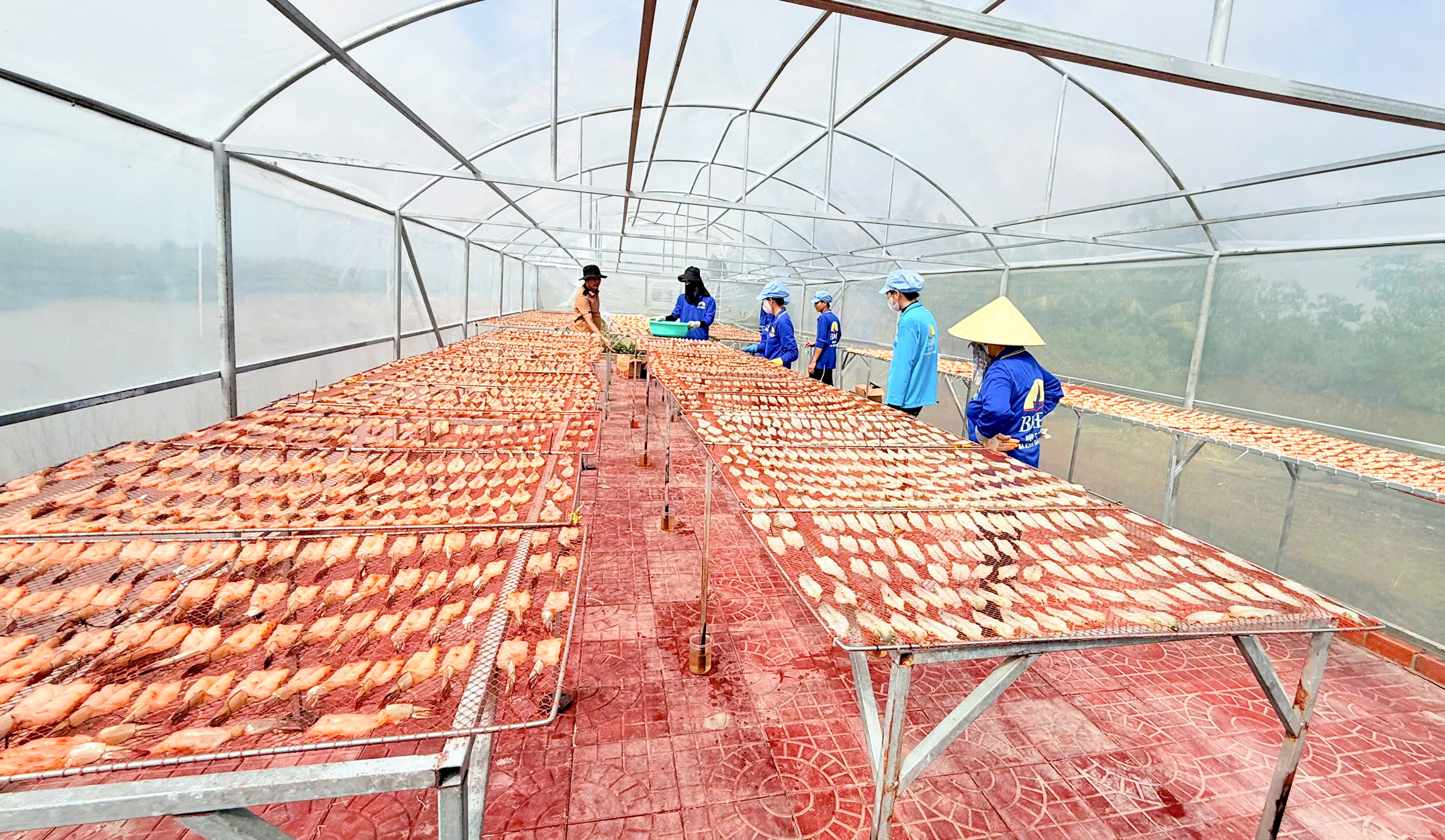 Nỗ lực giữ giá hàng Tết - Ảnh 3. Nỗ lực giữ giá hàng Tết - Ảnh 3.