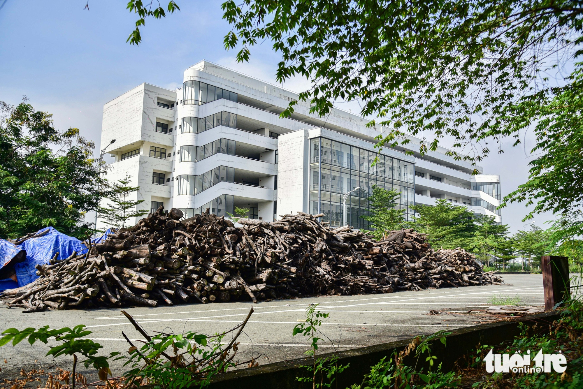 Toàn cảnh những khu vực ưu tiên thí điểm TOD dọc tuyến metro số 2 5 metro - Ảnh 5.