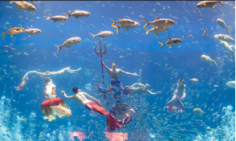 Bắc đảo Phú Quốc mùa đẹp nhất năm đánh thức mọi giác quan du khách - Ảnh 8. Bắc đảo Phú Quốc mùa đẹp nhất năm đánh thức mọi giác quan du khách - Ảnh 9.