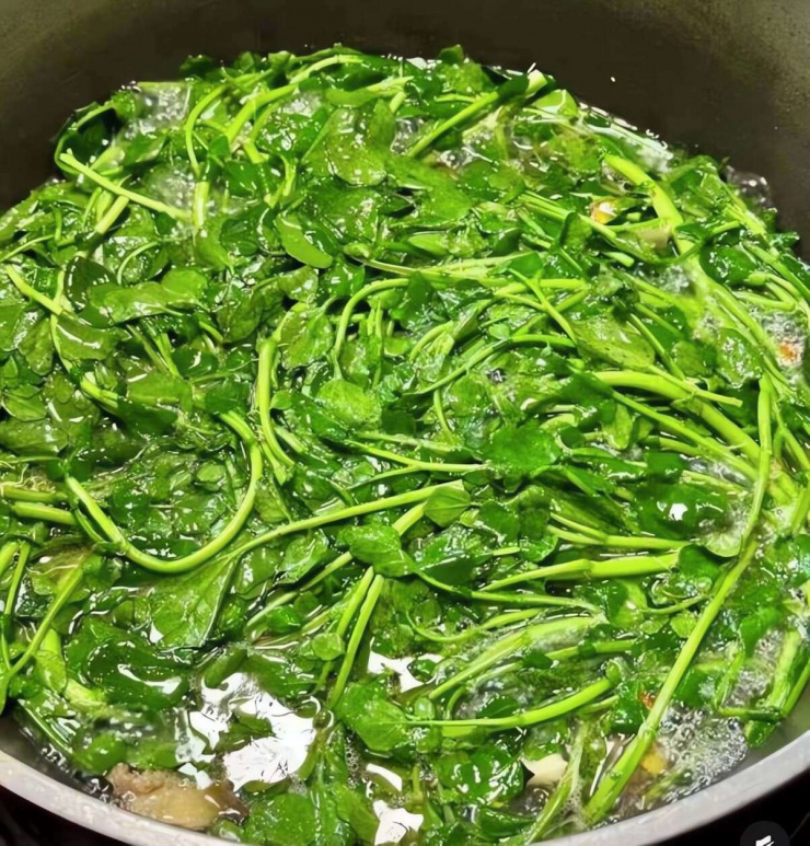 Loại rau mùa đông tươi mát, giúp dưỡng ẩm cho da khô, bổ máu, tăng cường miễn dịch, nấu canh rất thơm - 5