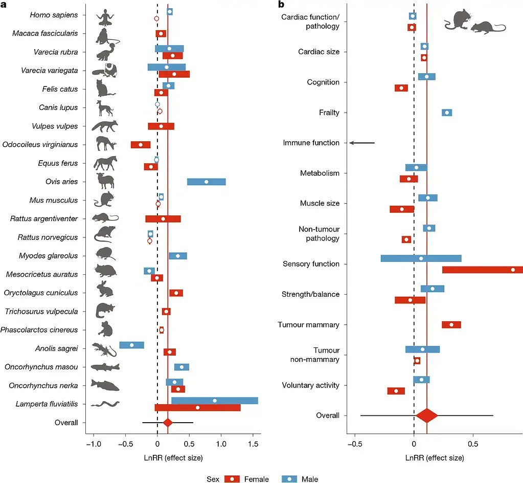 Các nhà khoa học phát hiện ra rằng động vật bị thiến có thể sống lâu hơn tới 20% và điều tương tự cũng có thể đúng với con người- Ảnh 2.