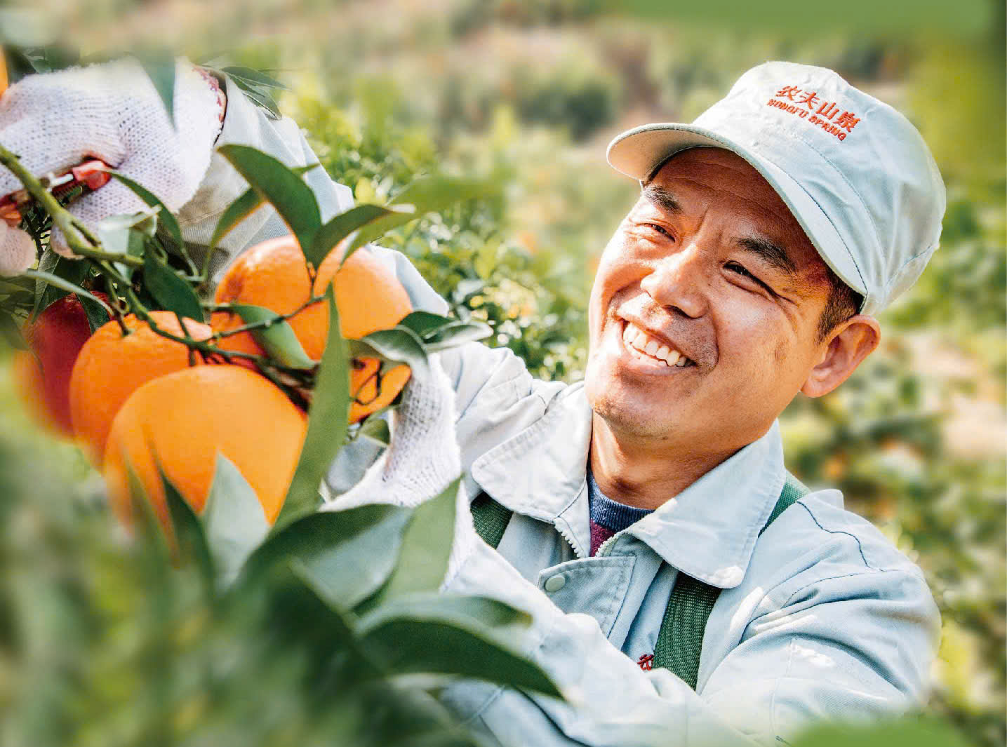 Cam 17.5° Nongfu Spring nổi tiếng tại Trung Quốc sắp về Việt Nam- Ảnh 2. Cam 17.5° Nongfu Spring nổi tiếng tại Trung Quốc sắp về Việt Nam- Ảnh 2.