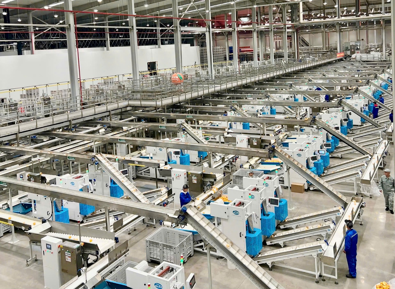 Cam 17.5° Nongfu Spring nổi tiếng tại Trung Quốc sắp về Việt Nam- Ảnh 3. Cam 17.5° Nongfu Spring nổi tiếng tại Trung Quốc sắp về Việt Nam- Ảnh 3.