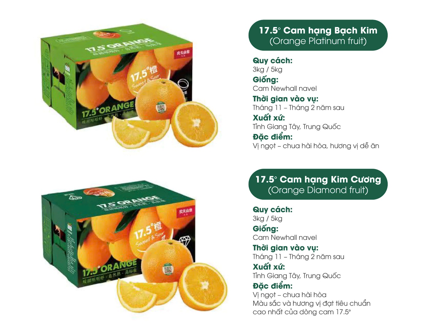 Cam 17.5° Nongfu Spring nổi tiếng tại Trung Quốc sắp về Việt Nam- Ảnh 4. Cam 17.5° Nongfu Spring nổi tiếng tại Trung Quốc sắp về Việt Nam- Ảnh 4.