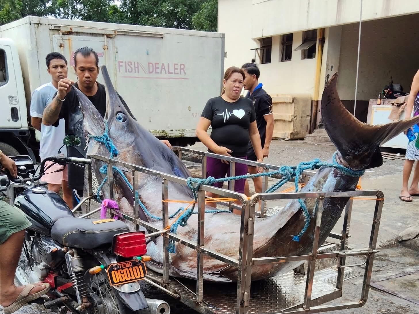 Ngư dân vật lộn nghẹt thở với Ngư dân vật lộn nghẹt thở với