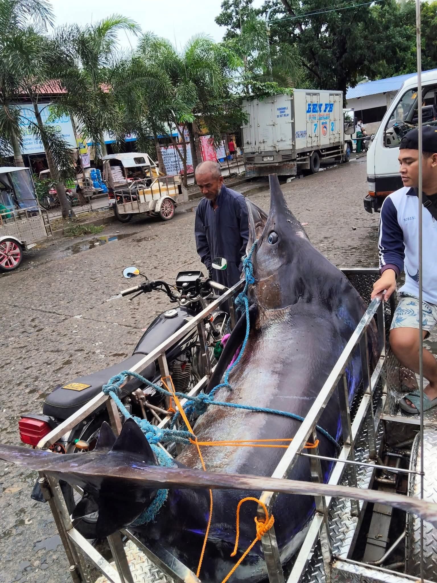 Ngư dân vật lộn nghẹt thở với Ngư dân vật lộn nghẹt thở với