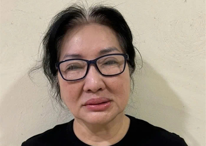 Chủ tịch Quốc Cường Gia Lai Nguyễn Thị Như Loan nộp 100 tỷ đồng, 4 thửa đất- Ảnh 1.