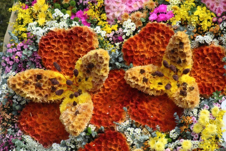 Check in cạn pin với bó hoa ở Đà Lạt nặng 10 tấn, to nhất Việt Nam 5 Check in 'cạn pin' với bó hoa ở Đà Lạt nặng 10 tấn, to nhất Việt Nam - 4