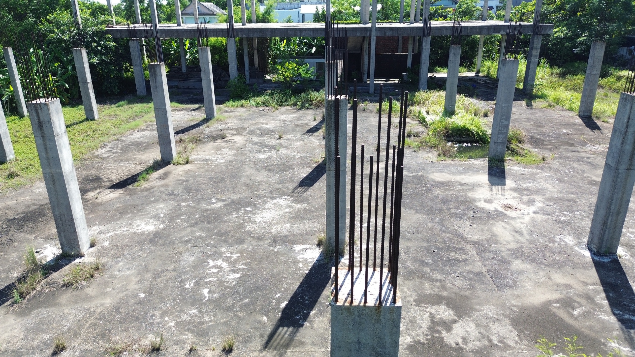 - Ảnh 2. - Ảnh 2.