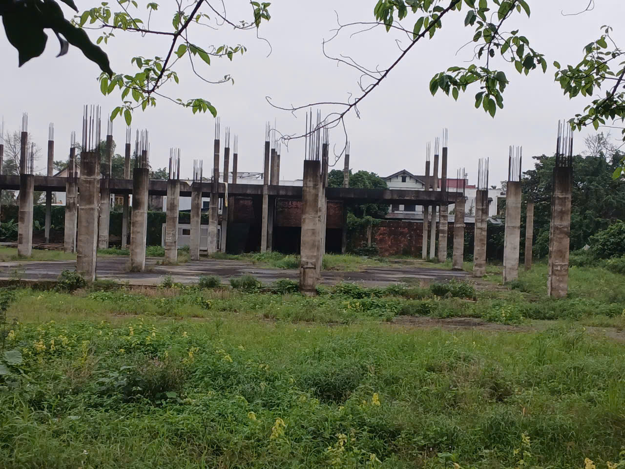 - Ảnh 4. - Ảnh 4.