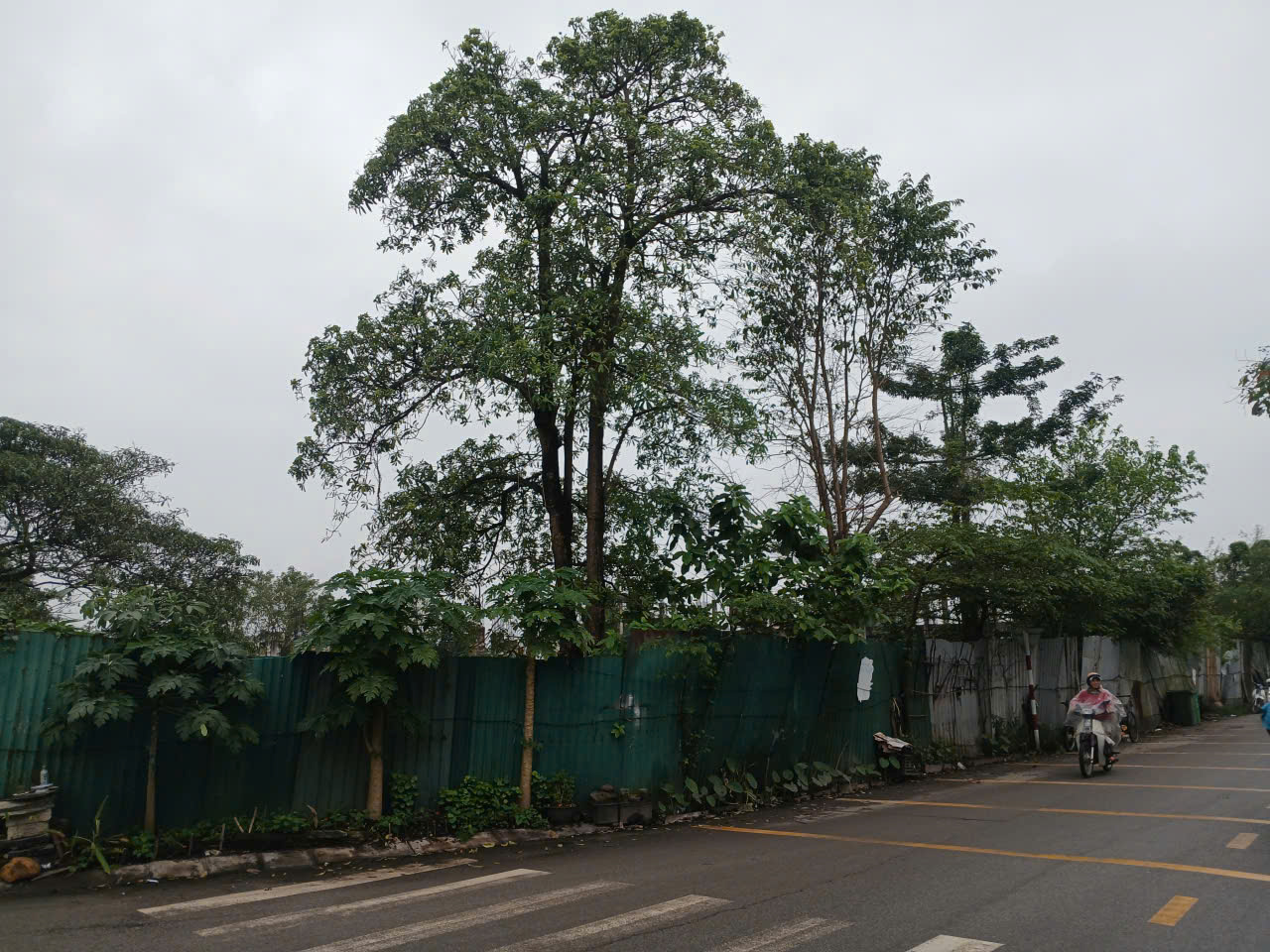 - Ảnh 5. - Ảnh 5.