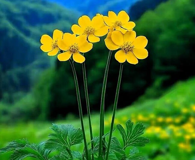 Phụ nữ sở hữu 2 chữ này các mối quan hệ tốt đẹp tự tìm đến, đường đời ngày càng suôn sẻ 2 Phụ nữ sở hữu 2 chữ này các mối quan hệ tốt đẹp tự tìm đến, đường đời ngày càng suôn sẻ - 2