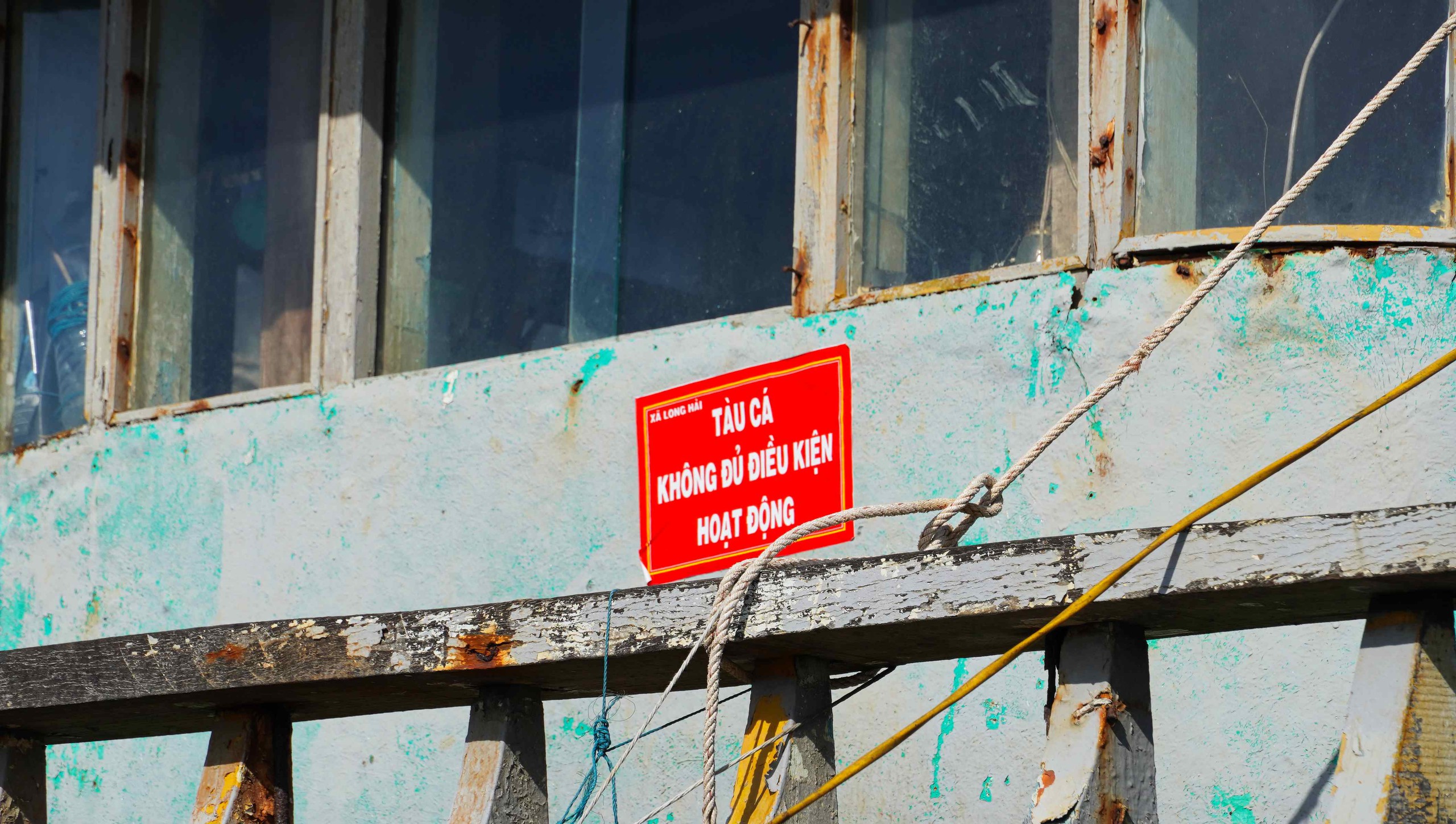 Đoàn công tác của Thanh tra Chính phủ làm việc về chống khai thác IUU tại TPHCM 3 Đoàn Công tác của Thanh tra Chính phủ làm việc về chống khai thác IUU tại TPHCM - Ảnh 3.