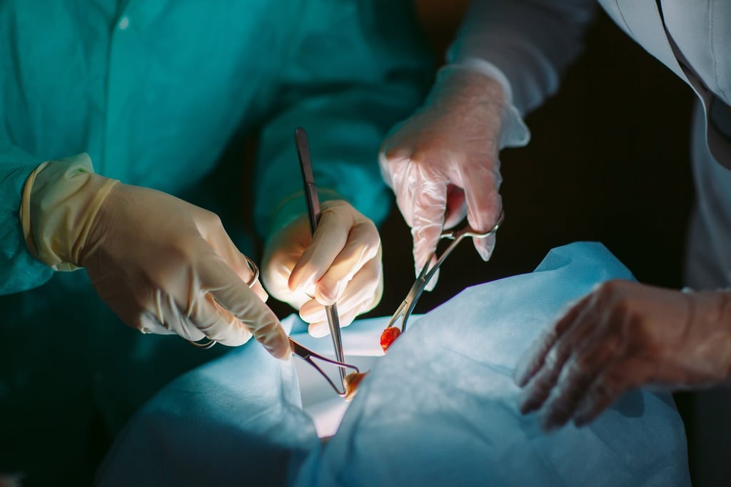 Người đàn ông kiện vợ ra toà vì không chịu hiến gan cho mình- Ảnh 2.