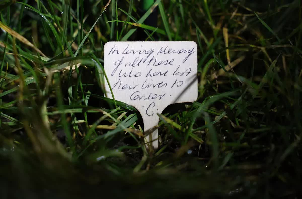 Vương phi Kate và 30.000 đóa hồng trắng thắp sáng trời đêm, lời nhắn gửi riêng tư cho bệnh nhân ung thư gây bão- Ảnh 3.