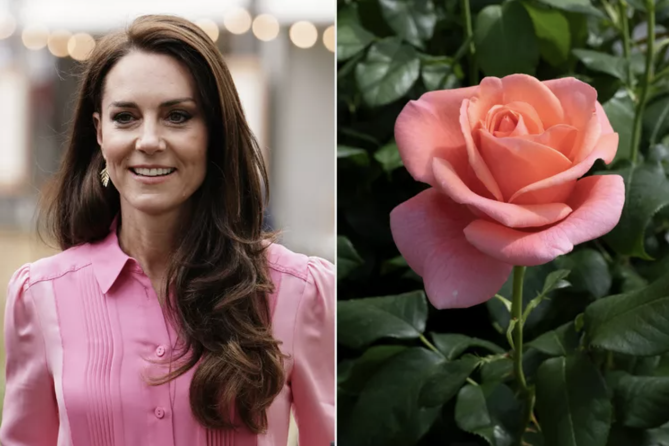 Vương phi Kate và 30.000 đóa hồng trắng thắp sáng trời đêm, lời nhắn gửi riêng tư cho bệnh nhân ung thư gây bão- Ảnh 4.