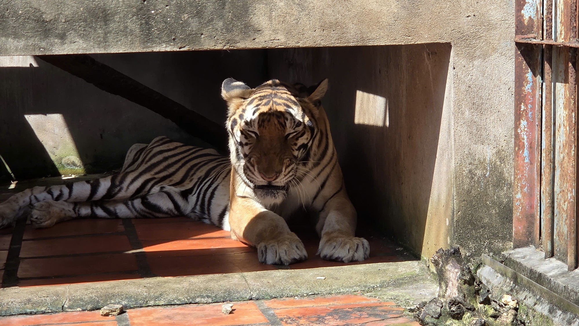 Vận hành bến xe buýt Lê Minh Xuân 5 Thông tin nổi bật tại TPHCM 16-12: Vận hành bến xe buýt Lê Minh Xuân - Ảnh 6.
