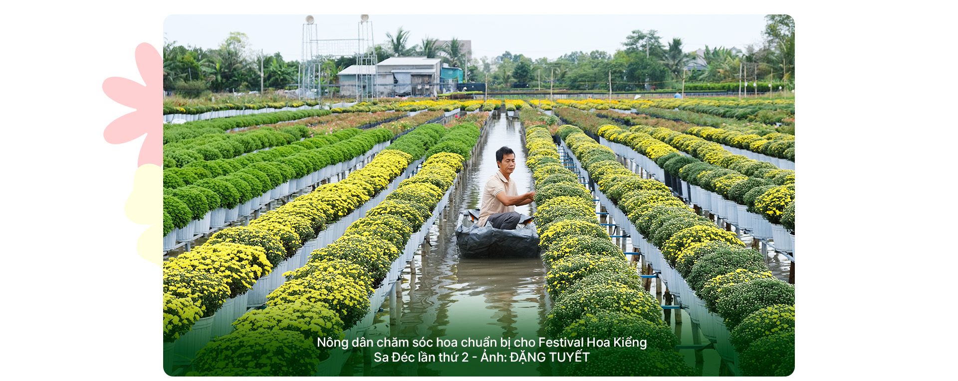 Festival Hoa kiểng Sa Đéc lần thứ 2: Sắc hoa ngày mới - Ảnh 6. Festival Hoa kiểng Sa Đéc lần thứ 2: Sắc hoa ngày mới - Ảnh 6.