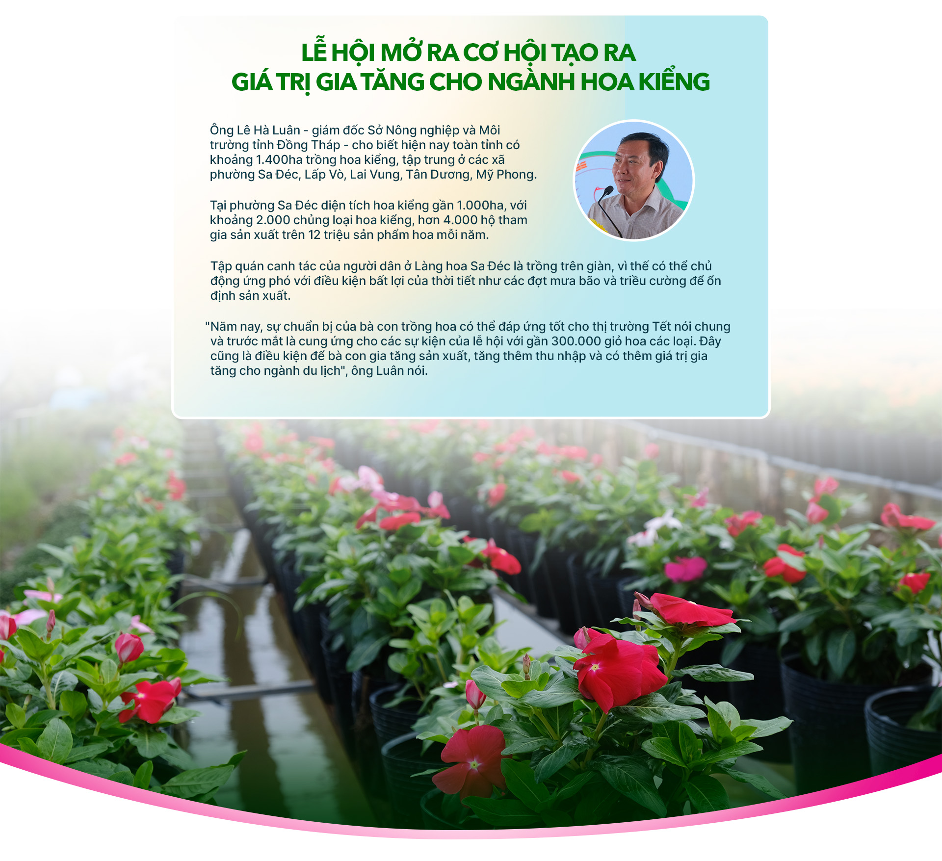 Festival Hoa kiểng Sa Đéc lần thứ 2: Sắc hoa ngày mới - Ảnh 9. Festival Hoa kiểng Sa Đéc lần thứ 2: Sắc hoa ngày mới - Ảnh 9.