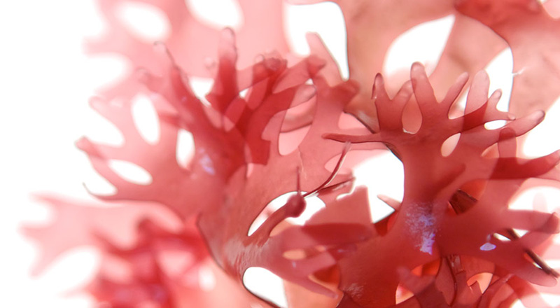 Phát minh Phát minh