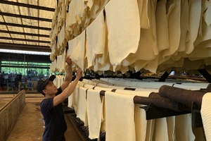 Kinh tế tuần hoàn, chuyển đổi xanh: Cú hích cho tăng trưởng 2 con số