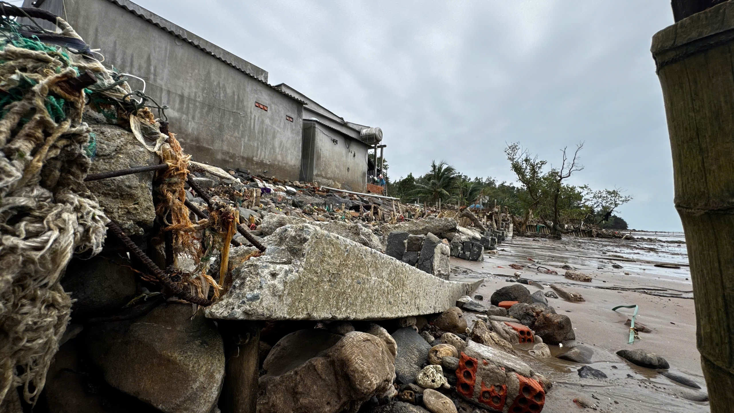 Tự dựng kè cứu nhà, người dân vẫn bất lực trước triều cường dữ dội 3 triều cường - Ảnh 3.