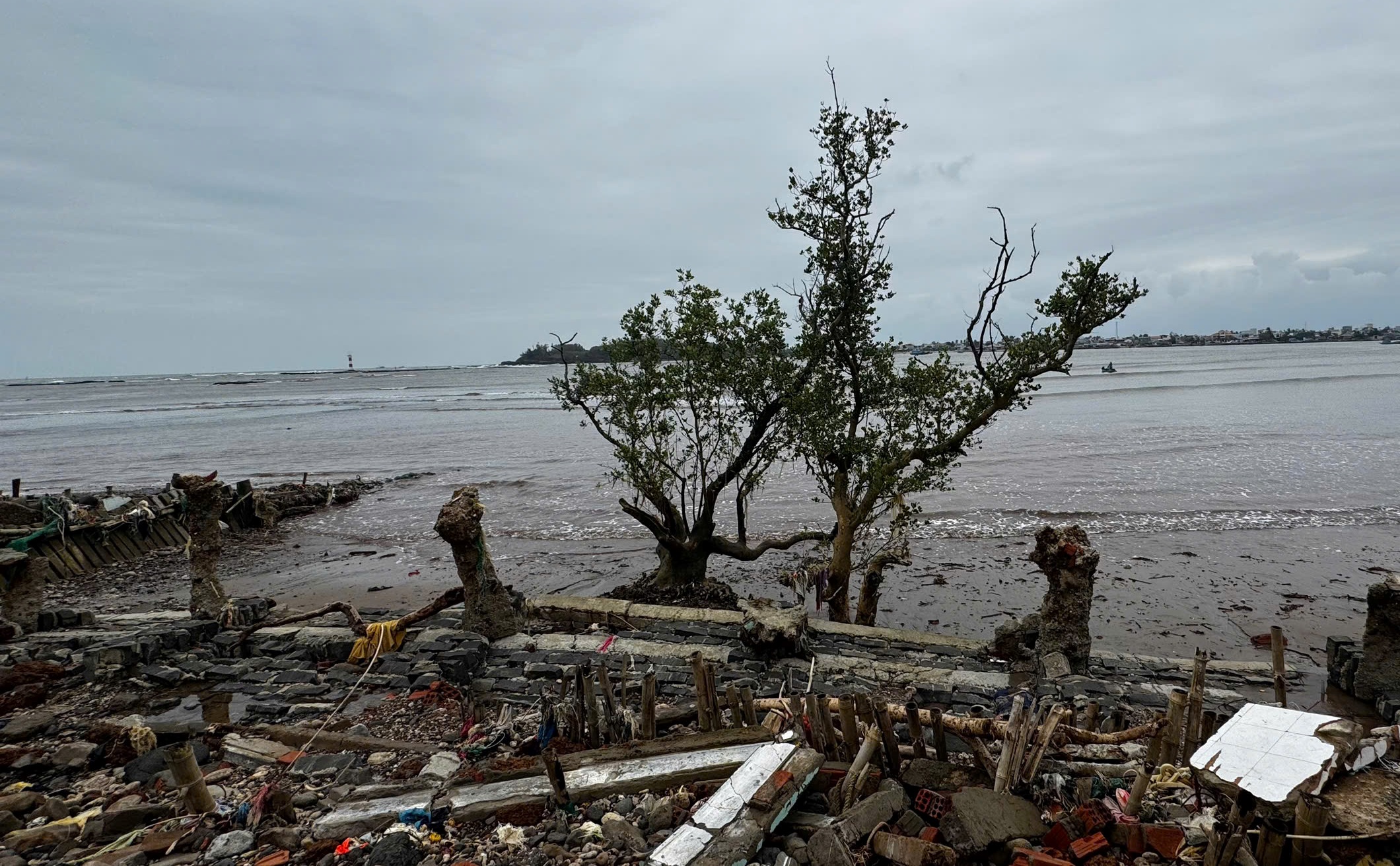 Tự dựng kè cứu nhà, người dân vẫn bất lực trước triều cường dữ dội 4 triều cường - Ảnh 4.
