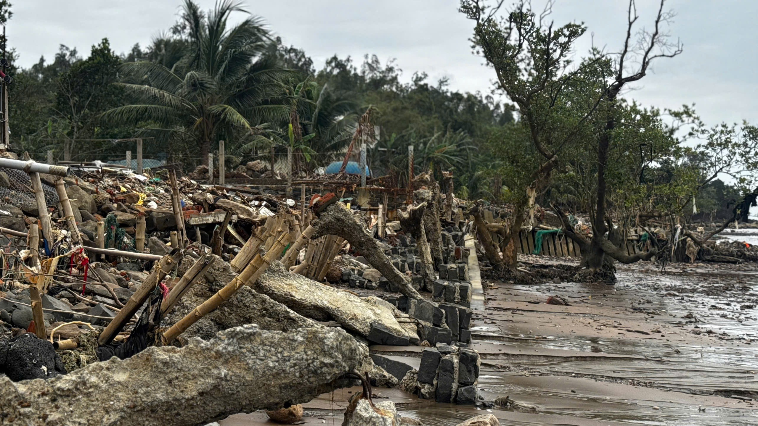 Tự dựng kè cứu nhà, người dân vẫn bất lực trước triều cường dữ dội 10 triều cường - Ảnh 10.