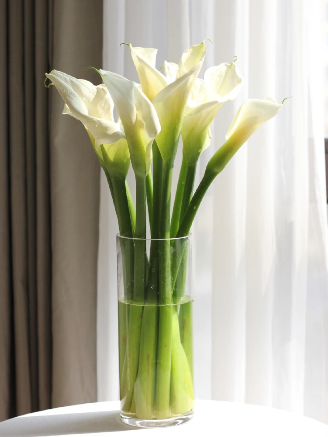 Thú chơi hoa Tết 2026: Quên những bình hoa rườm rà đi, một nắm hoa Rum cắm lọ mới là đỉnh cao của sự tinh tế, hút lộc cực mạnh- Ảnh 14.