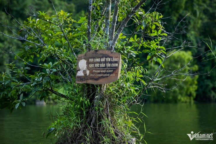 Mê hoặc khoảnh khắc hàng vạn chim hoang dã bay về tổ ở Ninh Bình - 11