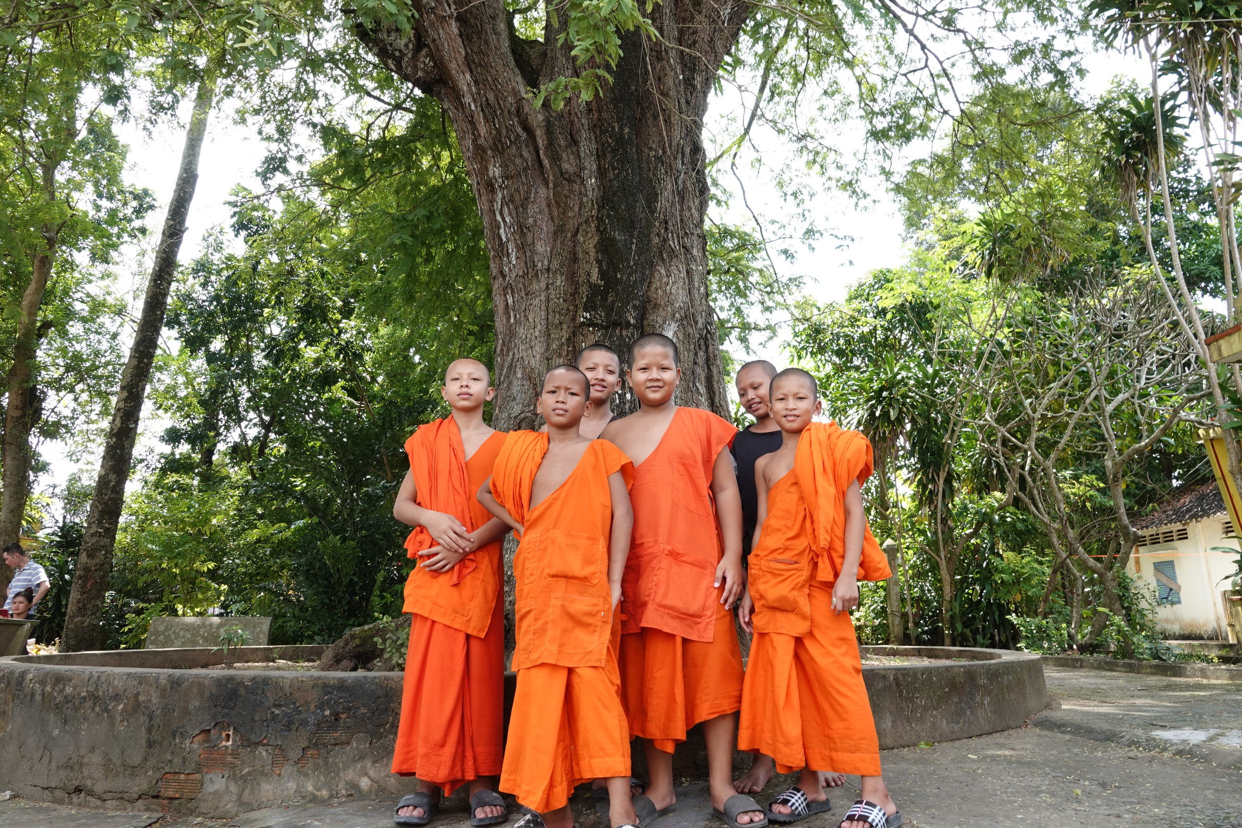 Cặp me cổ thụ hàng trăm năm tuổi - báu vật của ngôi chùa Khmer miền Tây- Ảnh 3.