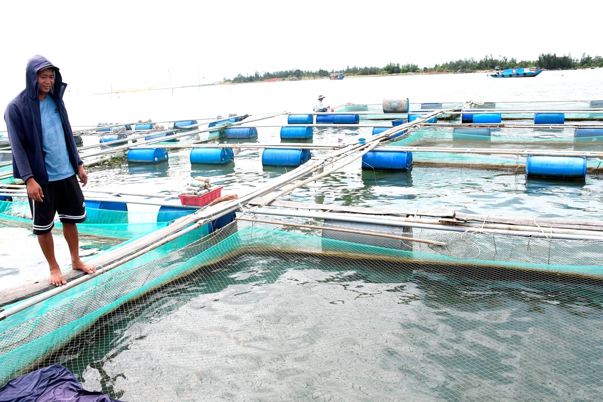 Sinh kế bền vững từ nghề nuôi biển - Ảnh 3.