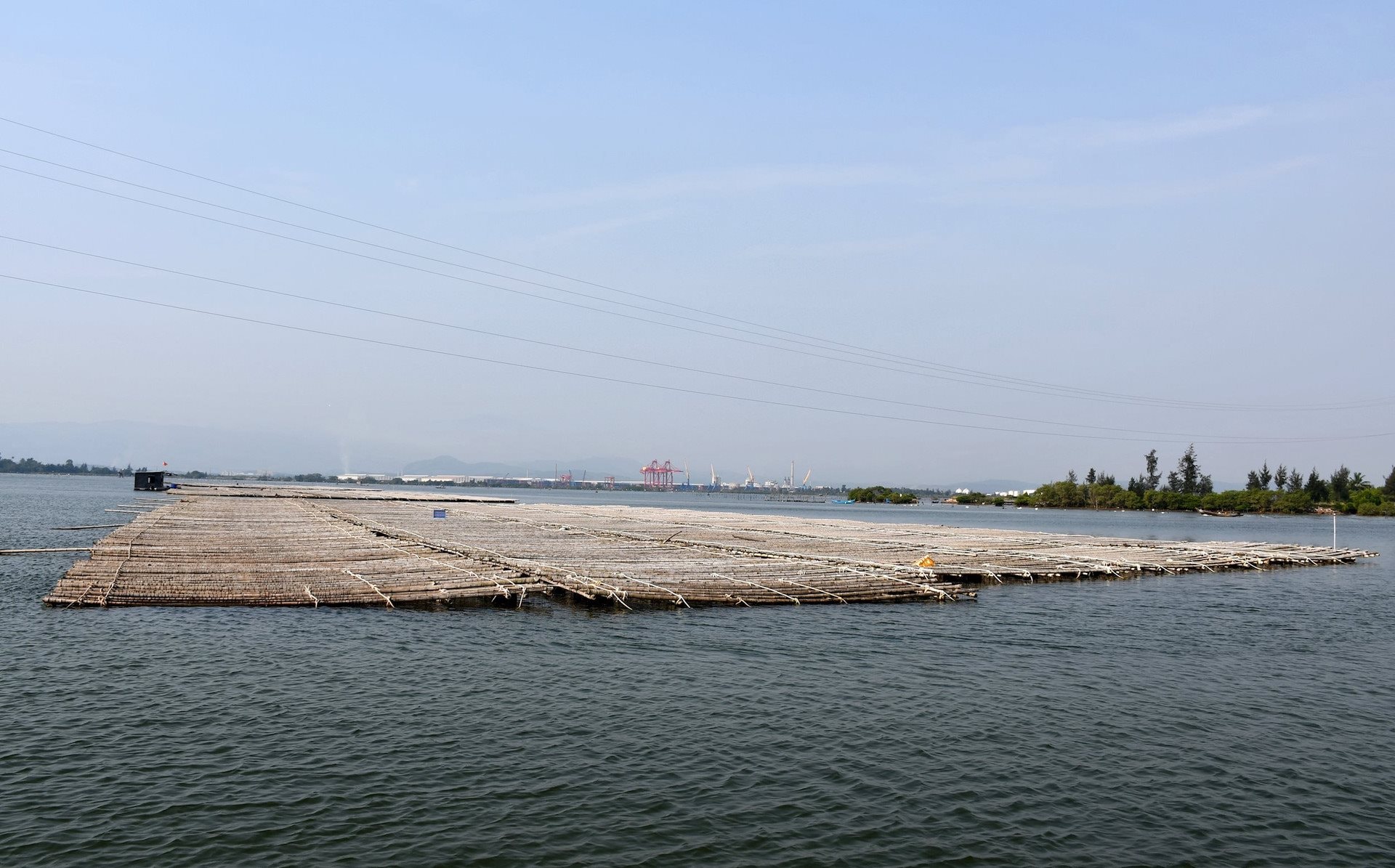 Sinh kế bền vững từ nghề nuôi biển - Ảnh 5.