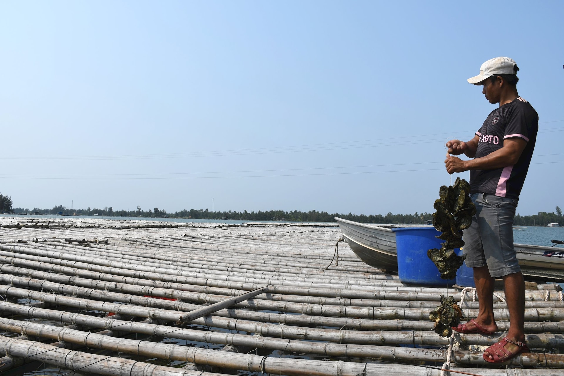 Sinh kế bền vững từ nghề nuôi biển - Ảnh 6.