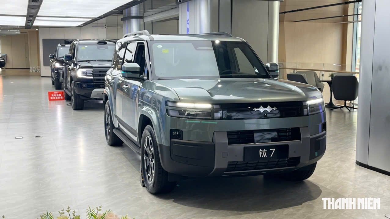 Đại diện BYD chia sẻ về khả năng phân phối Denza, Fang Cheng Bao tại Việt Nam - Ảnh 3.