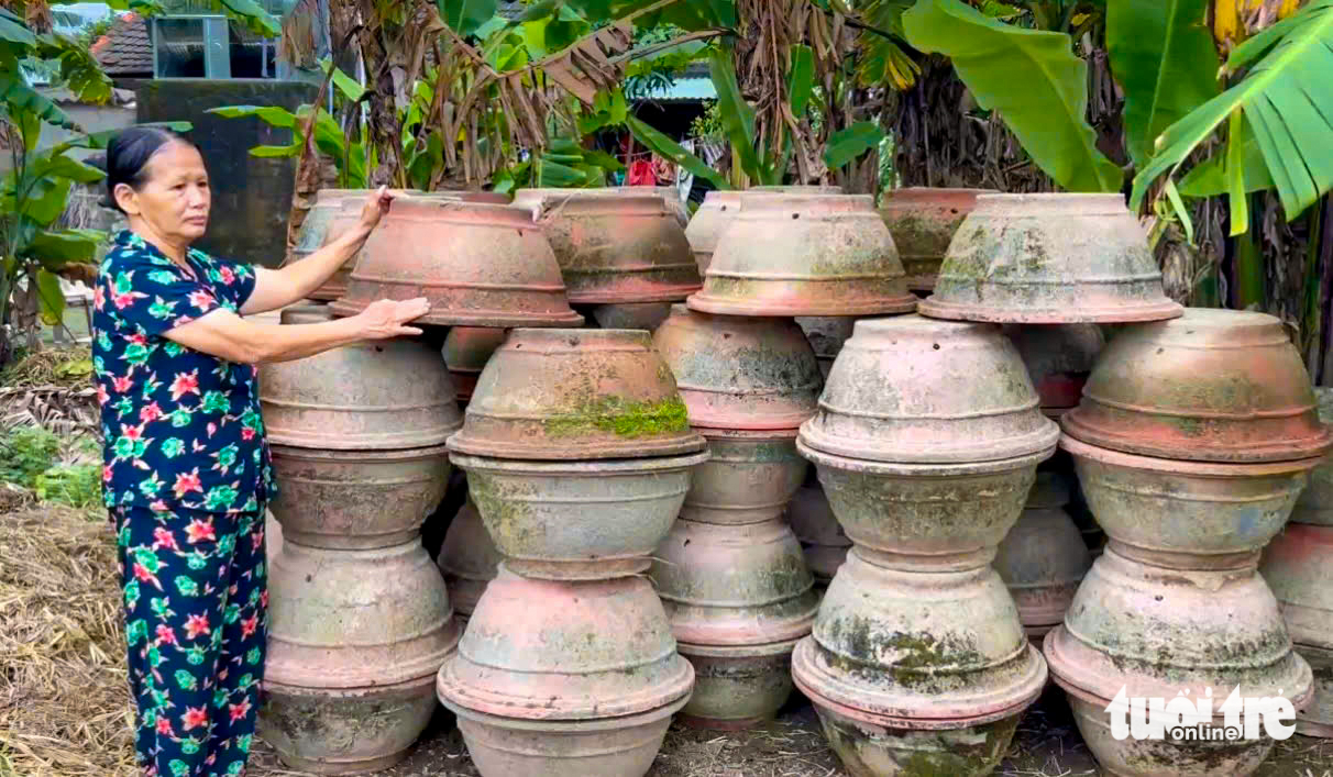 Hoa cúc thối rễ, nông dân Đà Nẵng lo mất trắng vụ Tết - Ảnh 2.