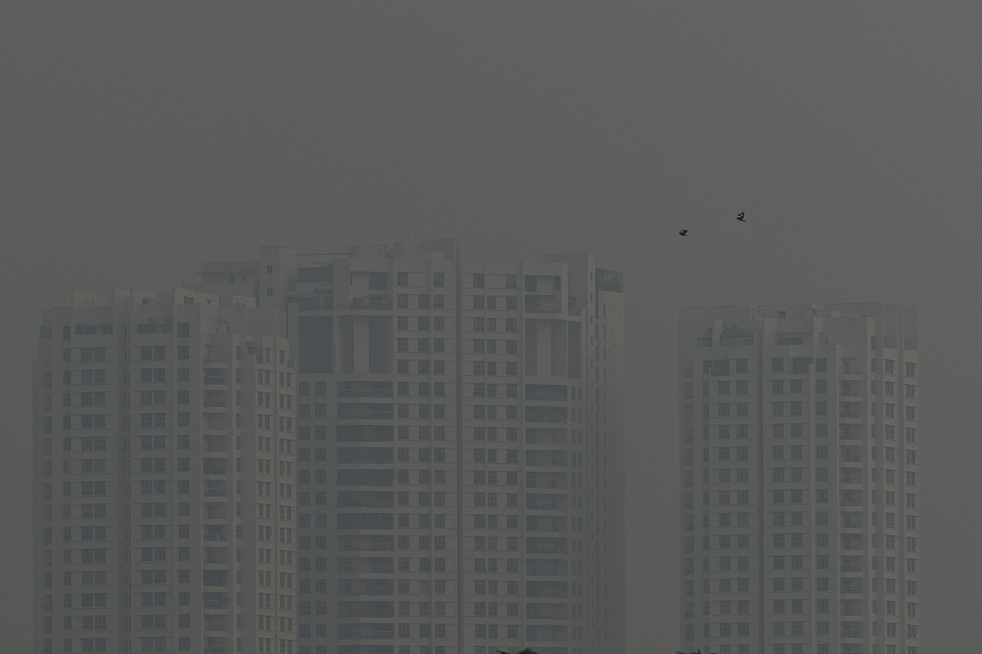 Không khí ô nhiễm bao trùm những ngày cuối năm: Hà Nội mù mịt, TP.HCM tối sầm dù đã 8h sáng- Ảnh 18.