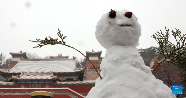 Khách đổ xô check in tuyết đầu mùa ở Bắc Kinh - 6