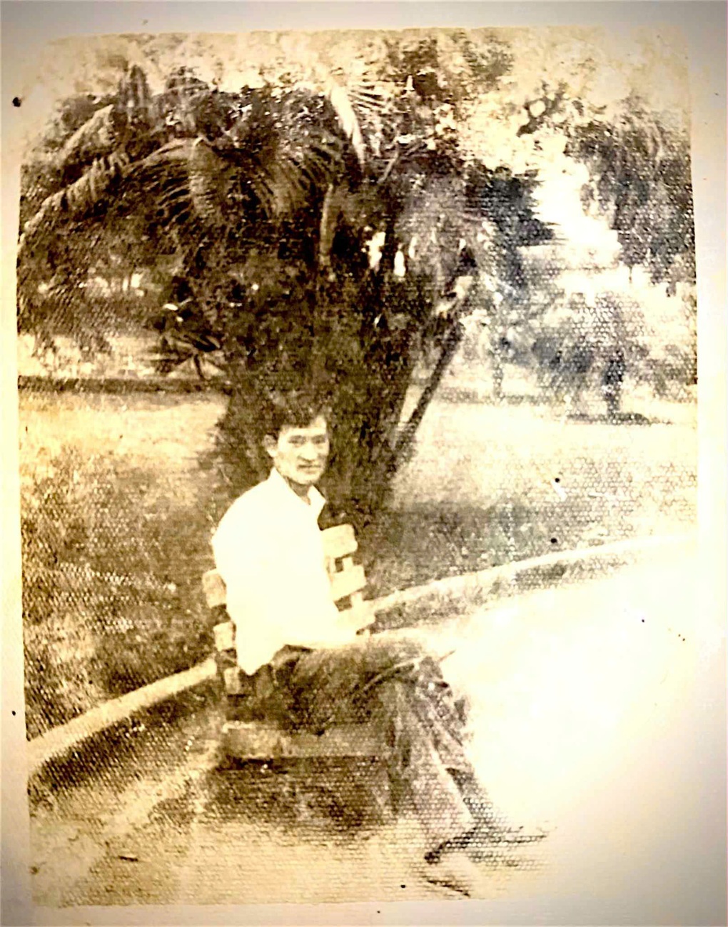 Con cháu khoe bằng đại học của cha ông, dân mạng muốn lao ngay đi học - 4