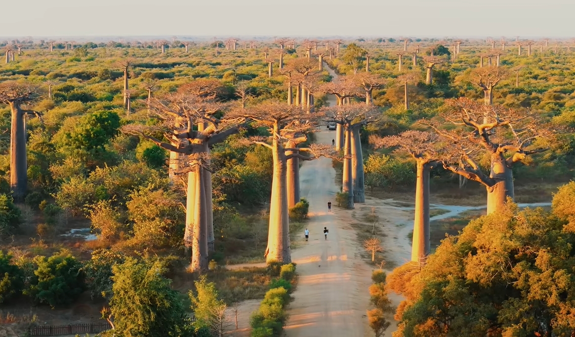 Khoai Lang Thang đã đến mức độ này rồi hả?- Ảnh 9.