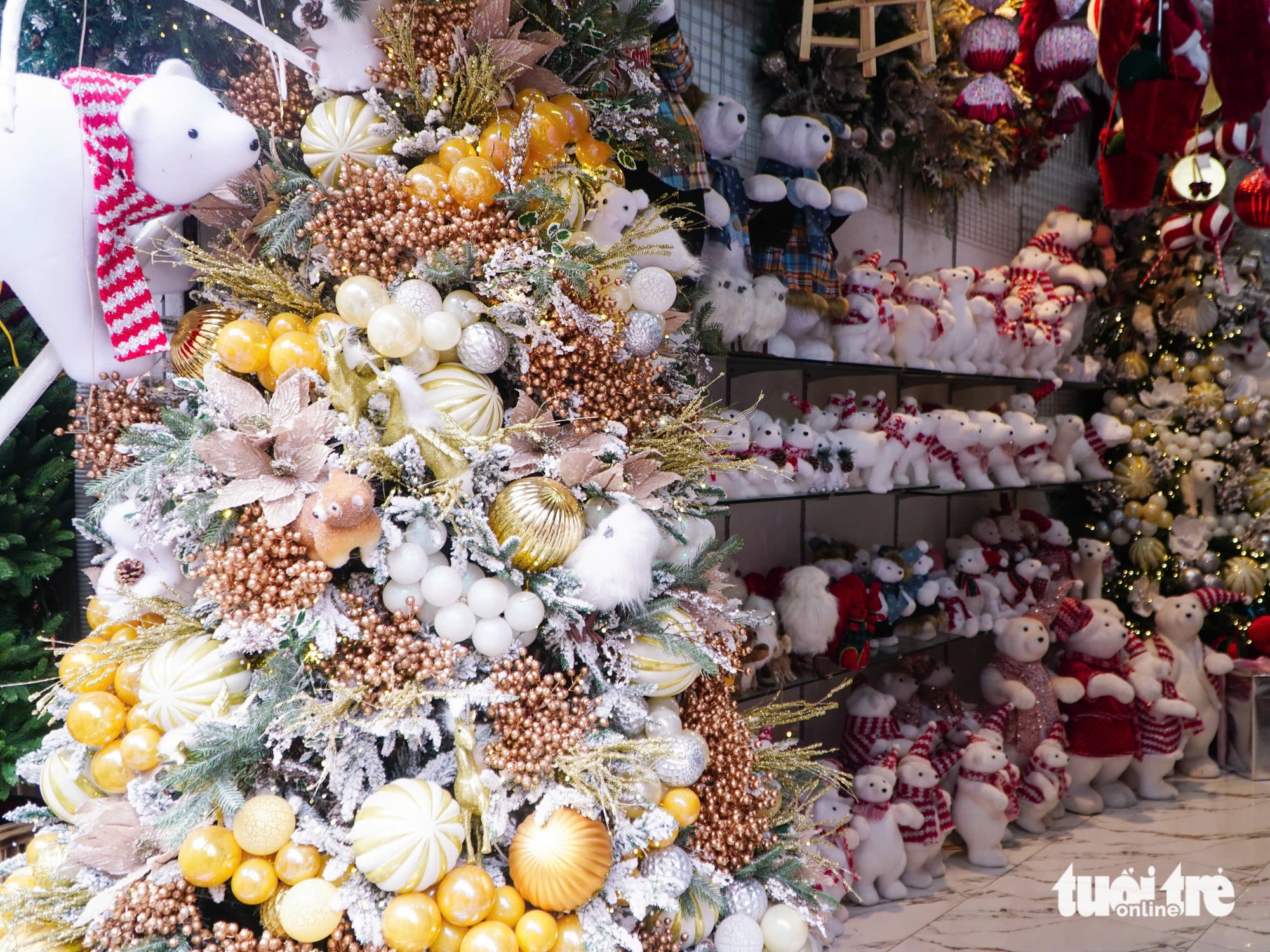 Phố phường Hà Nội rực rỡ sắc màu, người trẻ 'lên phố' đón Giáng sinh sớm 10 giáng sinh - Ảnh 14.